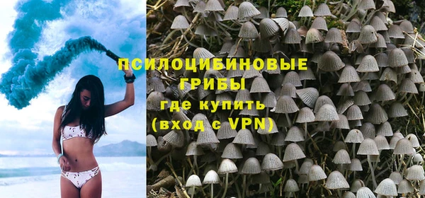 не бодяженный Абаза