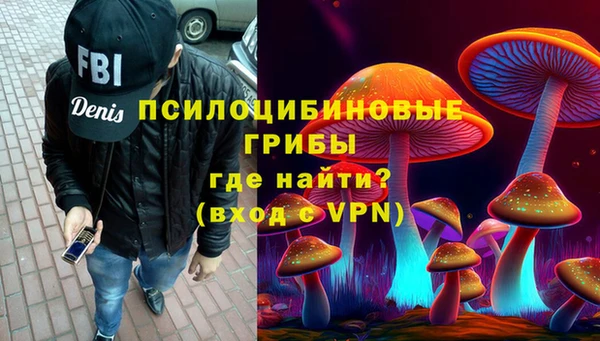 ГАЛЛЮЦИНОГЕННЫЕ ГРИБЫ Абинск
