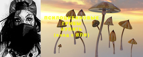 не бодяженный Абаза