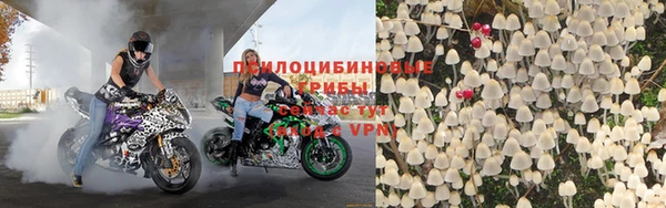 ГАЛЛЮЦИНОГЕННЫЕ ГРИБЫ Абинск