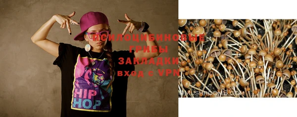 не бодяженный Абаза