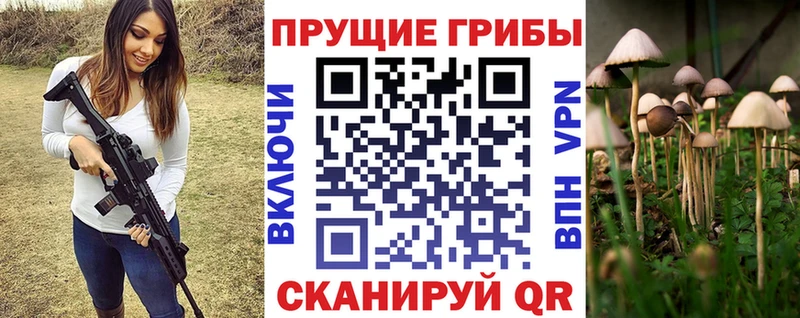 гидра зеркало  Ряжск  Псилоцибиновые грибы мицелий 